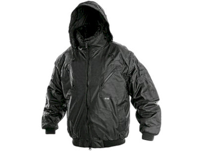 7294_3294_1210 003 800 00 PILOT